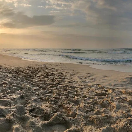 Elie * Władysławowo