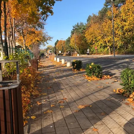 Elie * Władysławowo