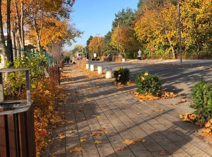 Elie * Władysławowo